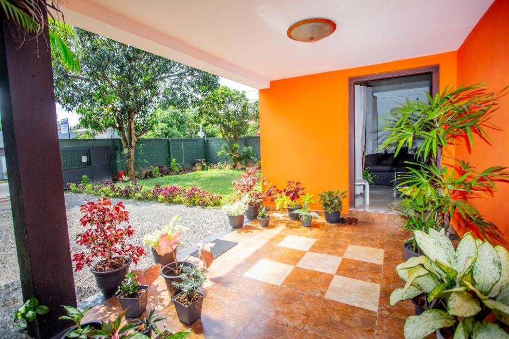 Hotel Blue Bird Negombo Bagian luar foto